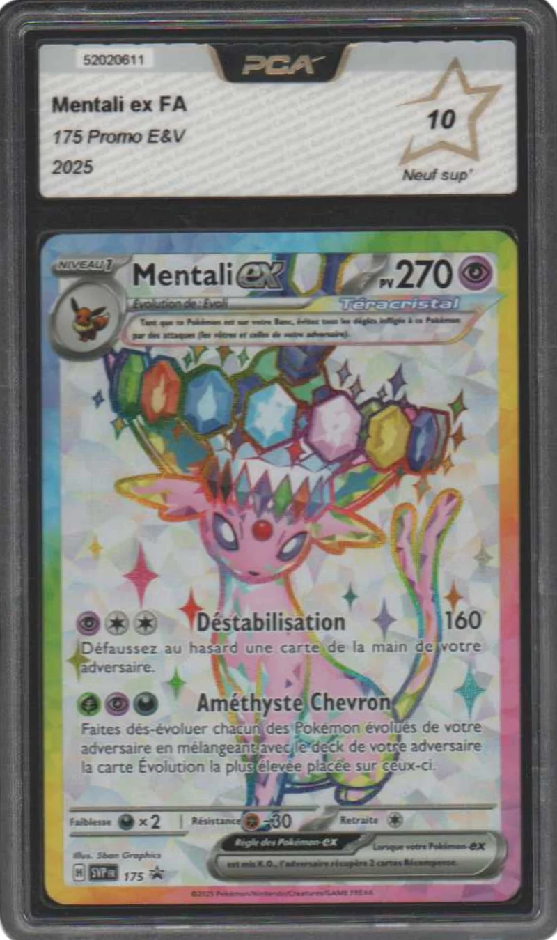 Mentali ex FA - Promo E&V 175 - PCA 10 - FR