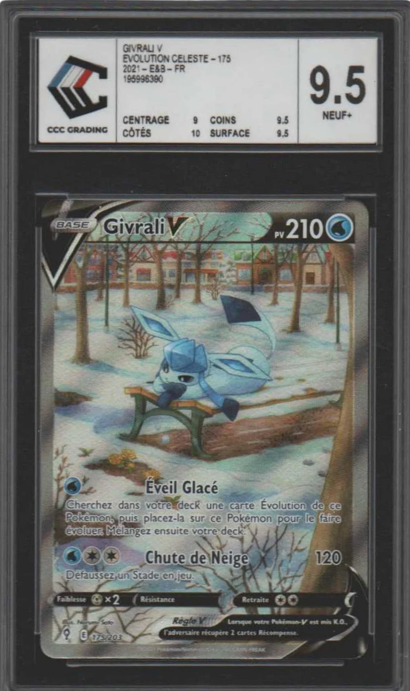 Givrali V - Evolution Celeste 175/203 - CCC 9.5 - FR