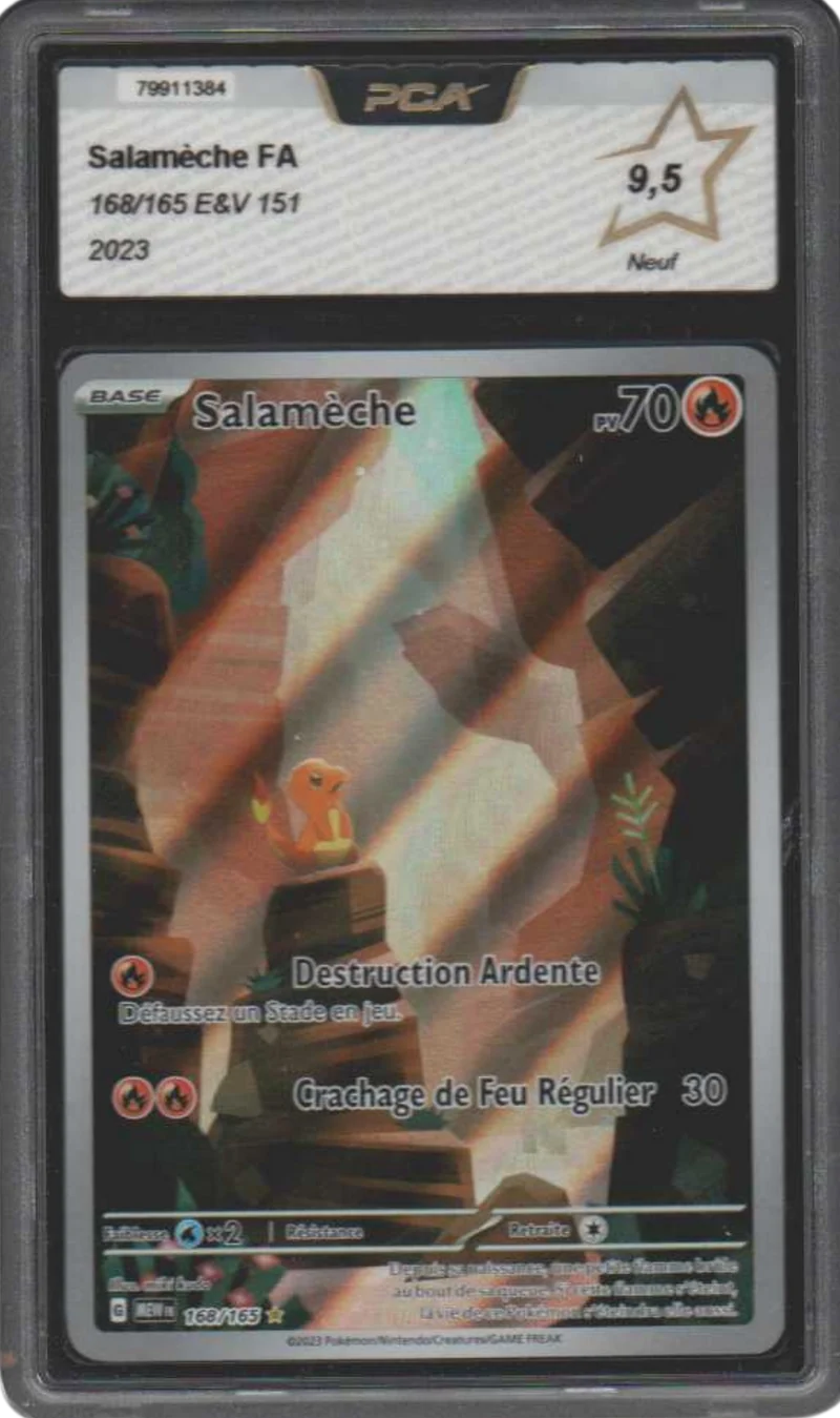 Salamèche AR 168/165 - 151 - EV3.5 - PCA 9.5 - FR