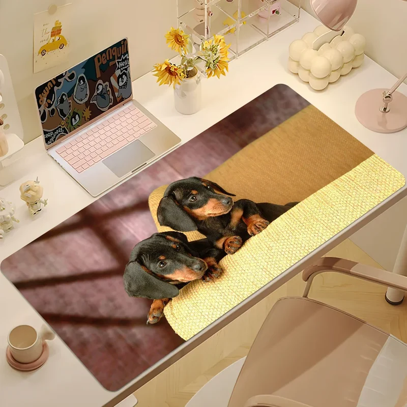 Tapis de Souris Teckel Dachshund