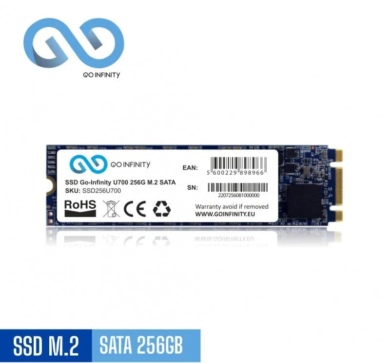Disque Dur Interne 256 Go SSD M2 SATA