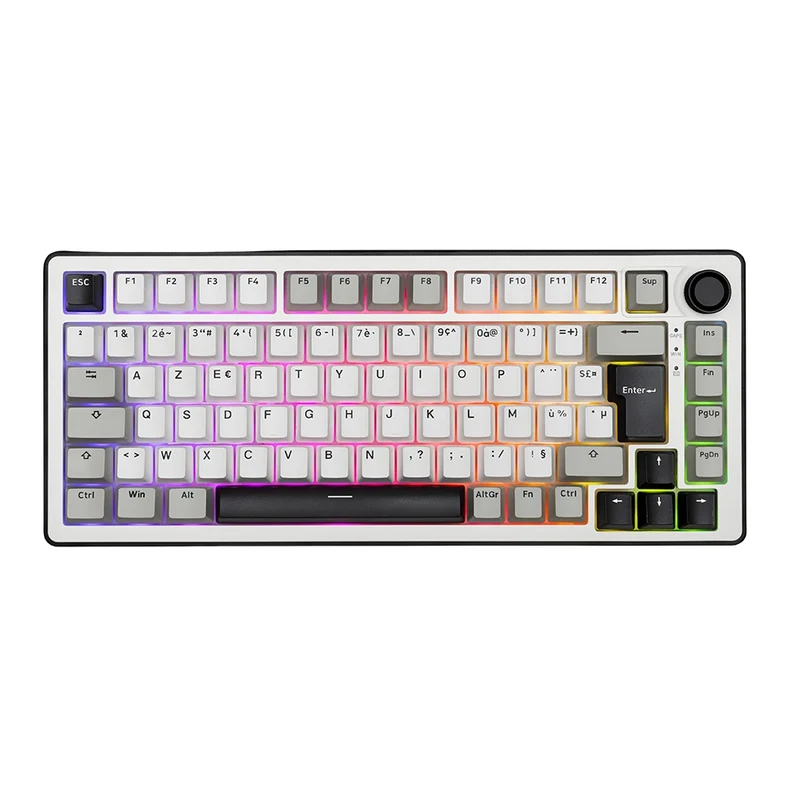 The G-Lab Keyz Elite 300 Wireless ISO FR - White/Gray