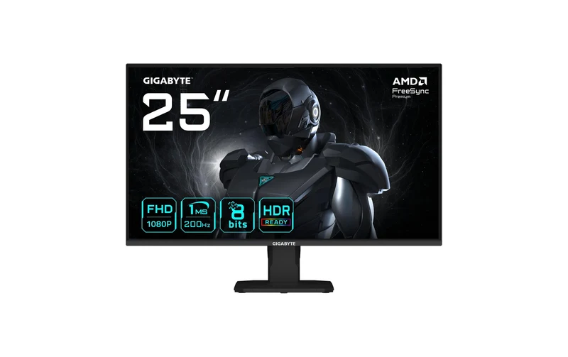 Gigabyte GS25F2 25 FHD