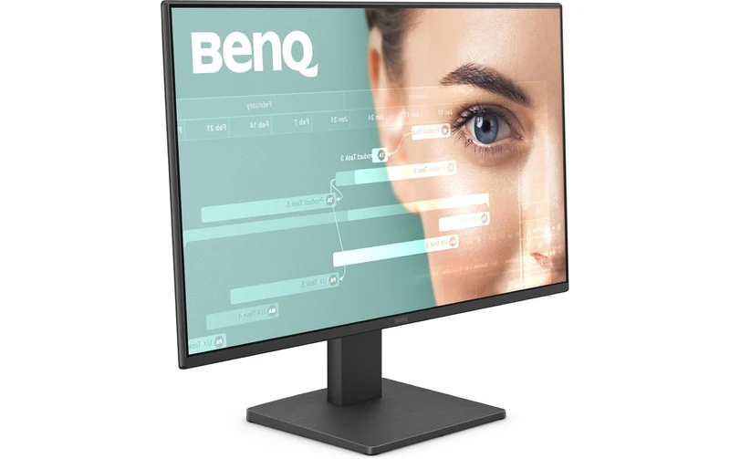 BENQ GW2491, 23.8, 1920 x 1080, IPS