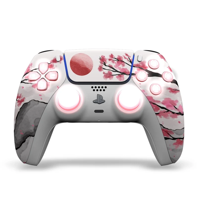 Draw My Pad PS5 Paddles FPS Hanami LED