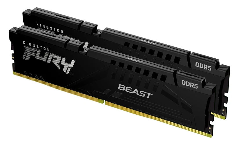 FURY Beast DDR5 32GB 2-Kit 5600MT/s