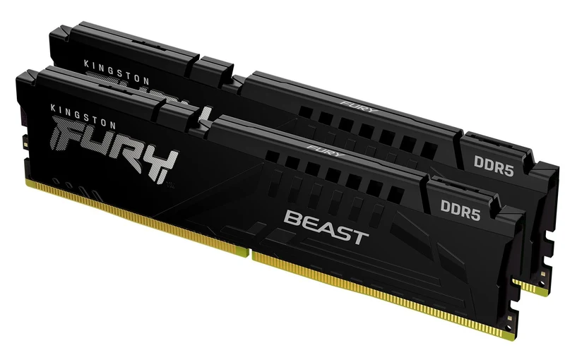 FURY Beast DDR5 16GB 2-Kit 5600MT/s EXPO