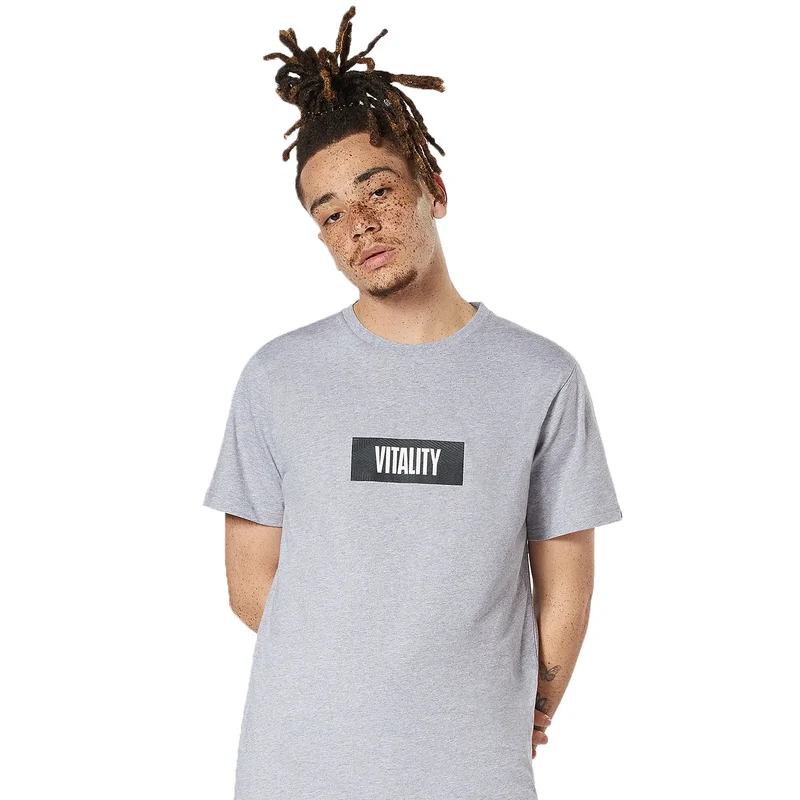 Vitality T-Shirt V Gray