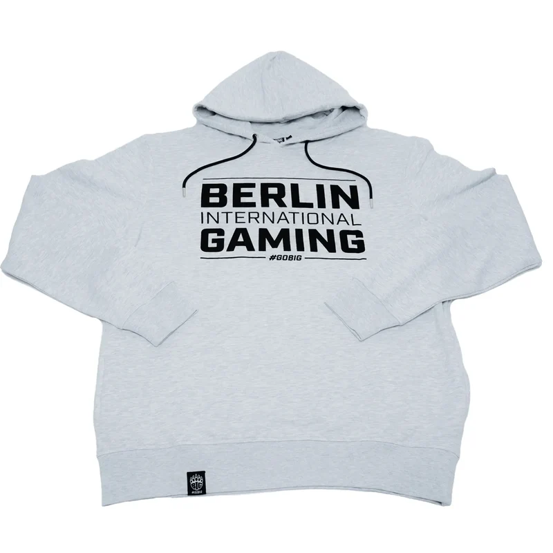 BIG Hoodie Family Gray
